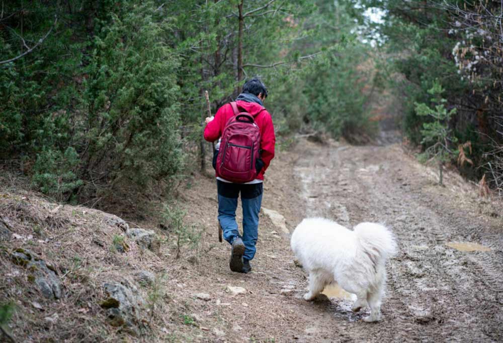 zecche, un piccolo rischio per gli amanti delle passeggiate