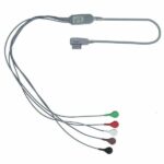holter ecg2
